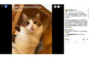 結業潮｜首代貓咪咖啡廳「阿貓地攤」明停運  張敬軒、王菀之等歌手曾辦音樂會