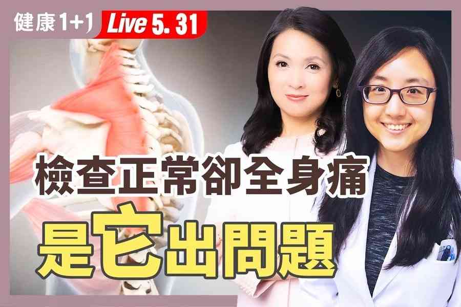 【健康1+1】纖維肌痛症是大腦警報器失調 找回生活品質有方法 