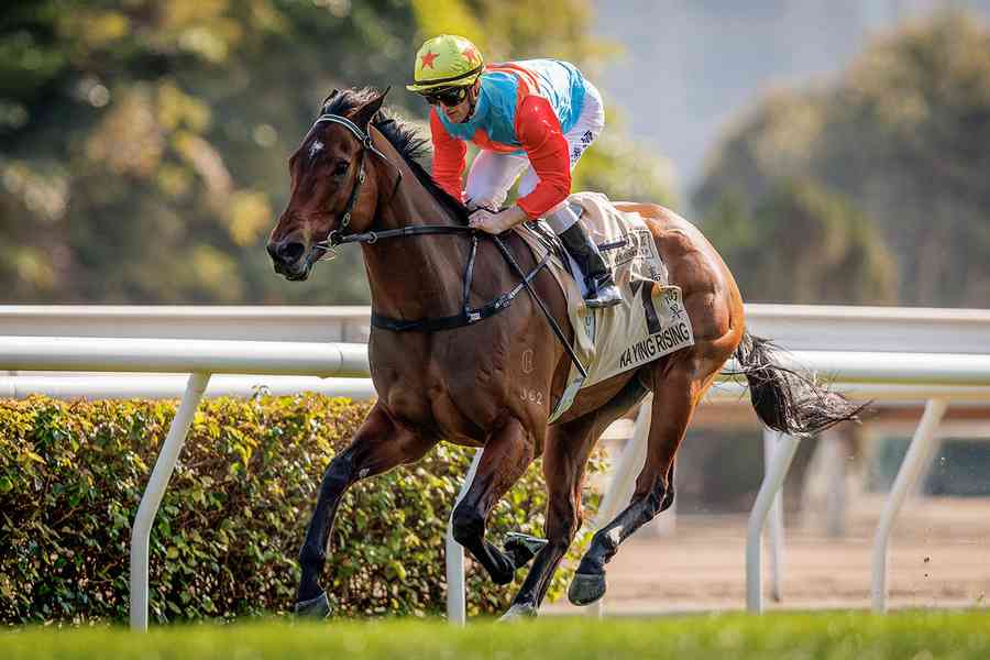 「嘉應高昇」成今季香港馬王 季內八戰全勝