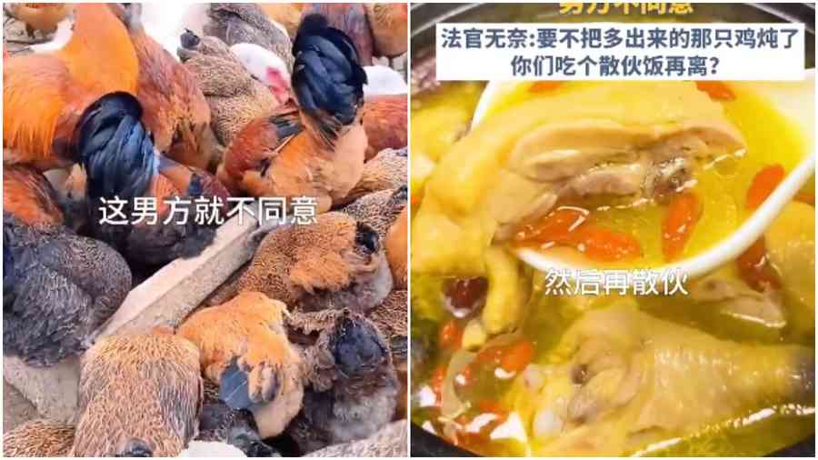 夫妻離婚分53隻雞鴨鵝 多出一隻 法官：吃了再離