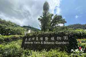 宏福苑5級火｜KFBG尋寶行2025延期 轄下綠匯學苑提供緊急住宿