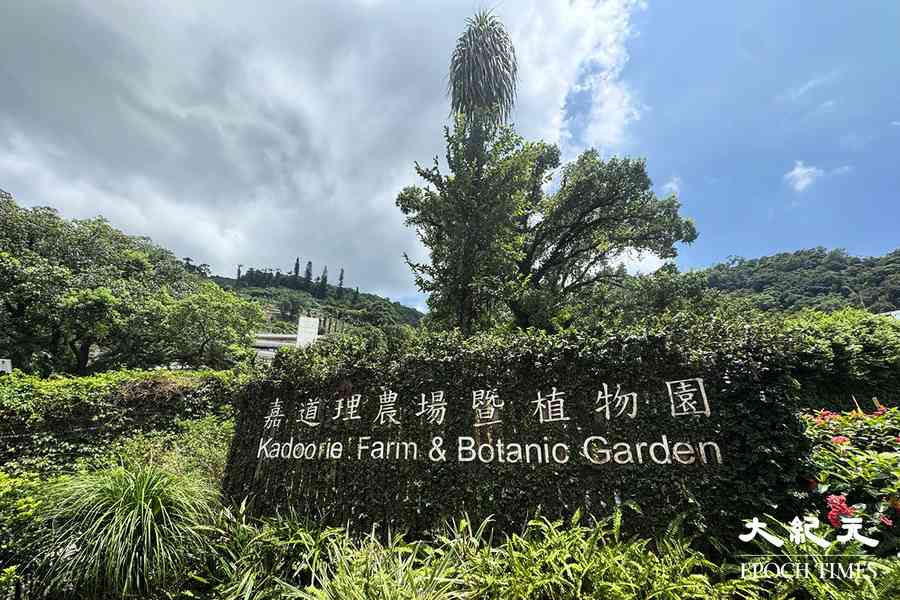 嘉道理農場暨植物園 8月15日免費入場