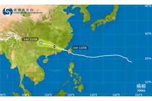 楊柳襲港｜一號風球生至少維持至明早6時（更新）