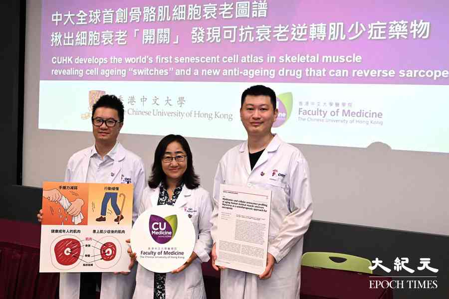 中大醫學院發現可逆轉「肌少症」藥物