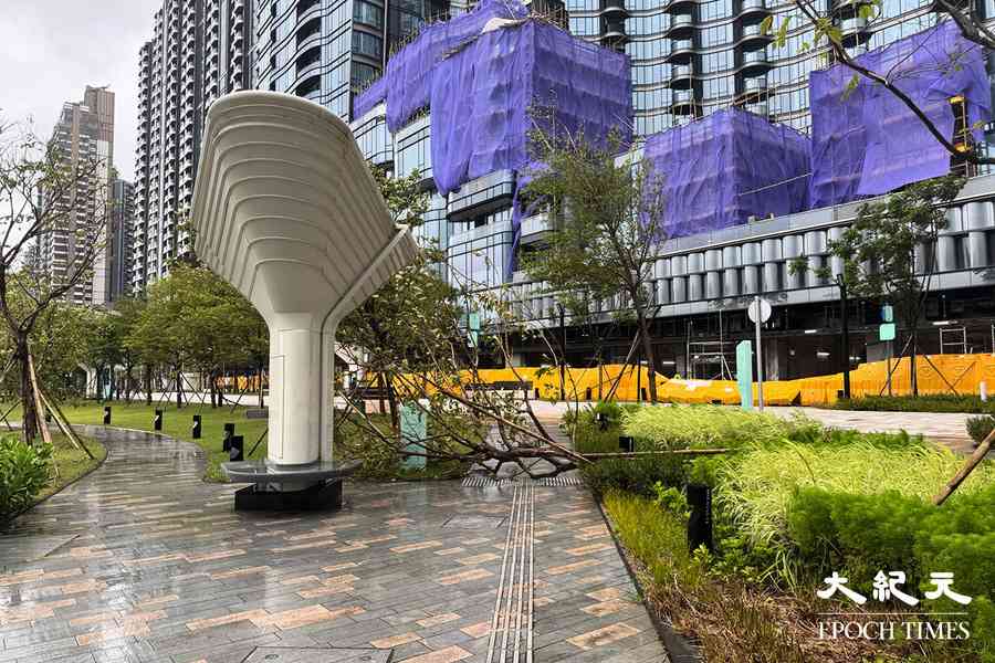 塔巴襲港｜政府接獲162宗塌樹報告（更新）