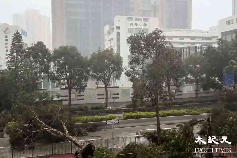 天文台：熱帶氣旋令9月雨量較正常值高64%