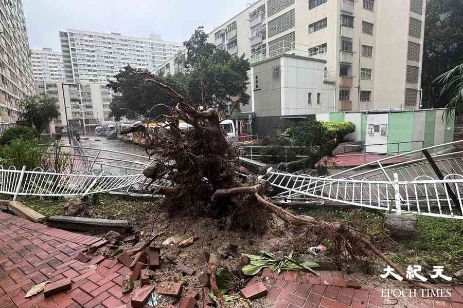 樺加沙｜幼稚園上午校及全日班等停課 康文署多個泳池暫停開放