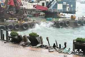 「樺加沙」期間觀浪墮海 父母被控疏忽照顧明提堂