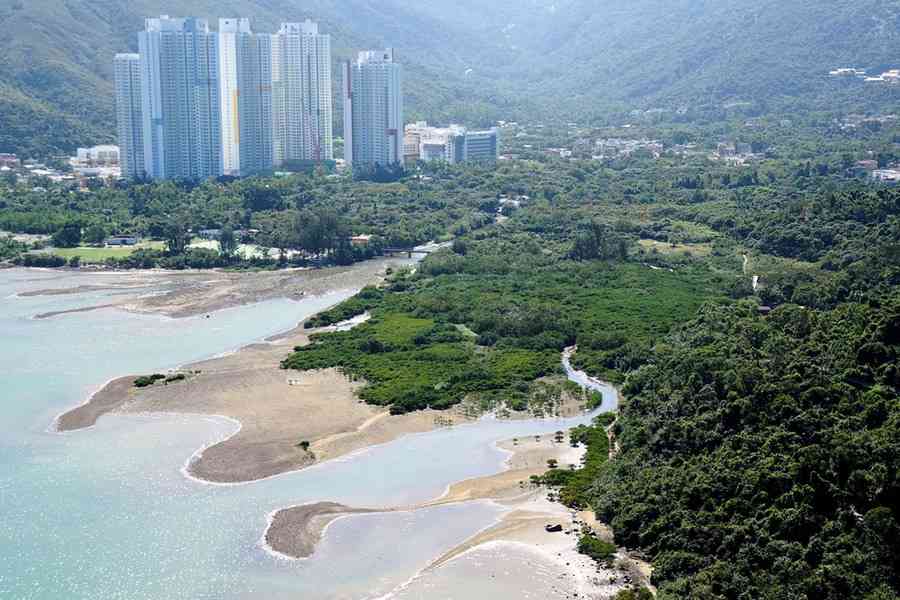 綠色力量調查指新市鎮擴展工程影響東涌河生態