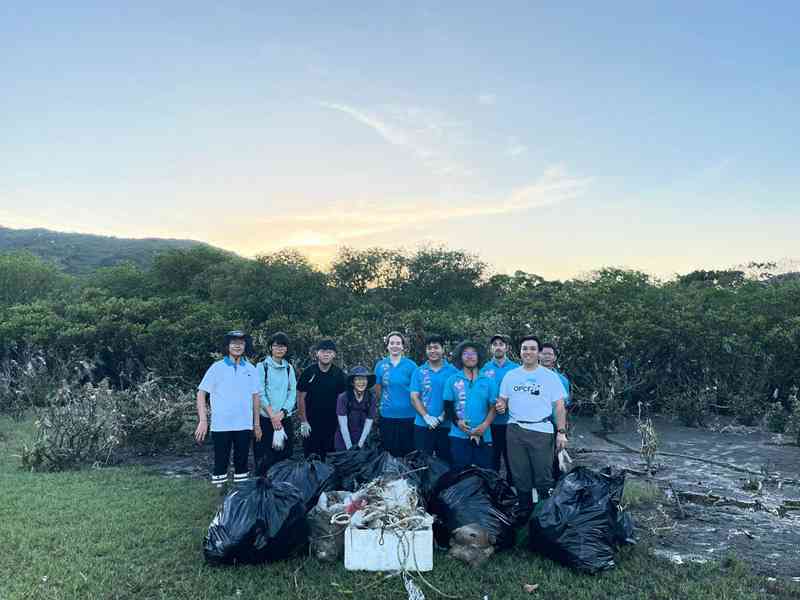 颱風後塑膠垃圾湧大嶼山 海洋公園率隊清理馬蹄蟹棲息地 