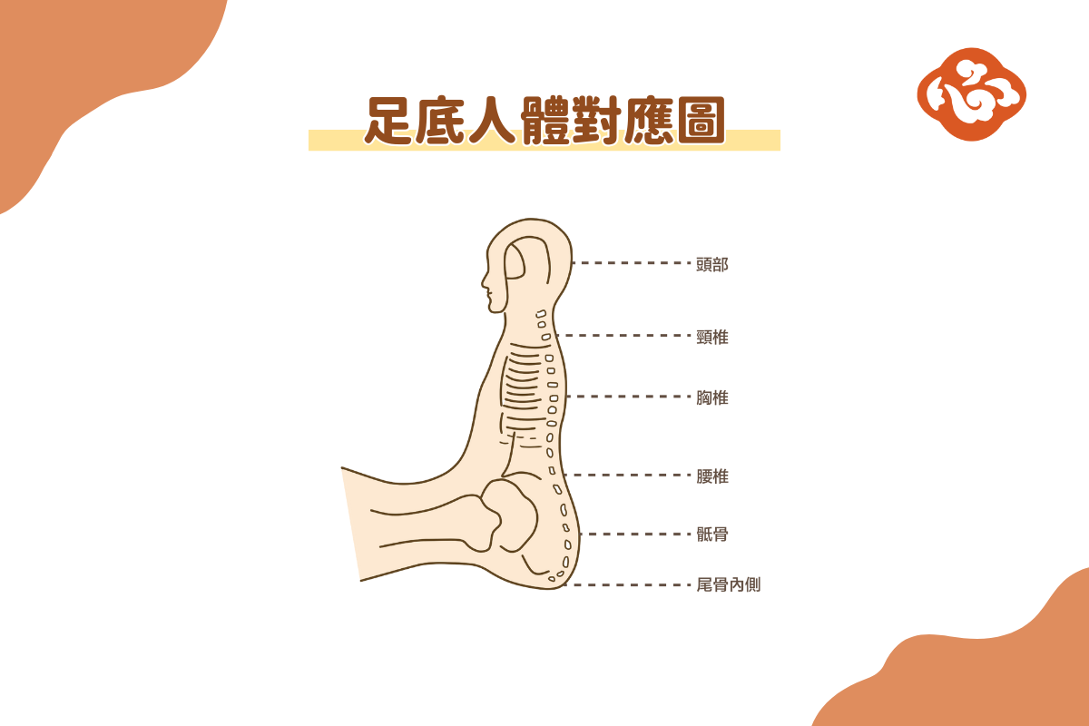 足底人體對應圖。(醫道心傳製作組製圖)