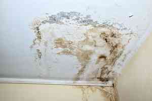 申訴專員調查滲水辦處理滲水問題