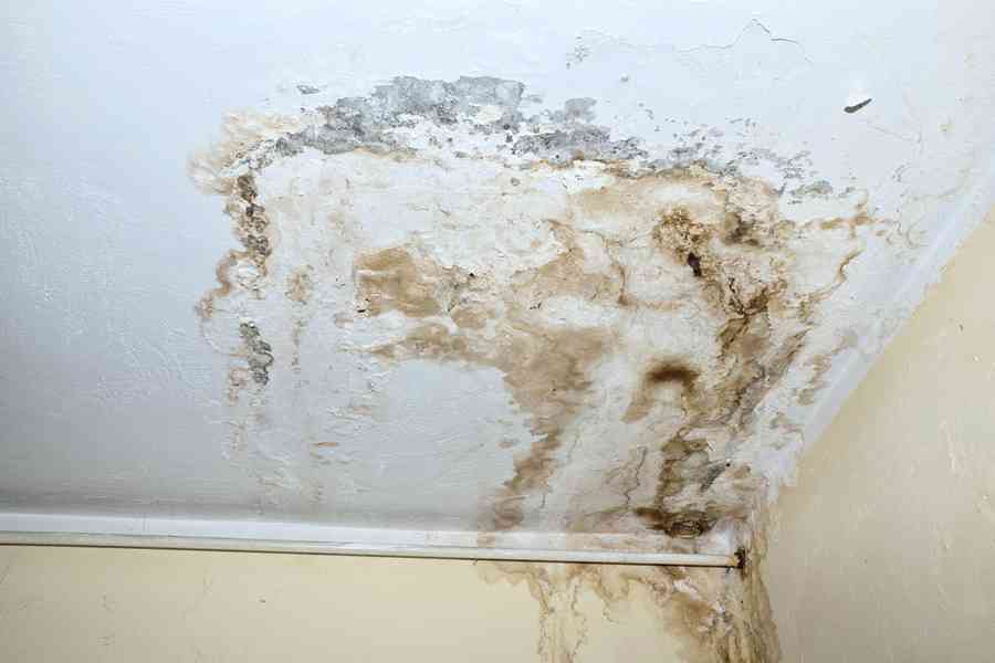 申訴專員調查滲水辦處理滲水問題