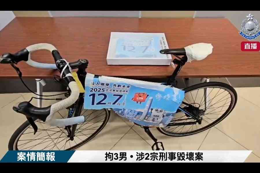 立會選舉｜3少年涉撕宣傳海報被捕