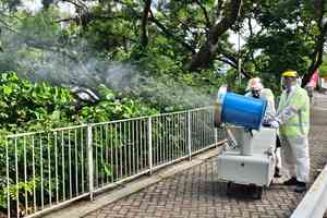 第2批白紋伊蚊誘蚊器指數公布 屯門西最高達8.3%