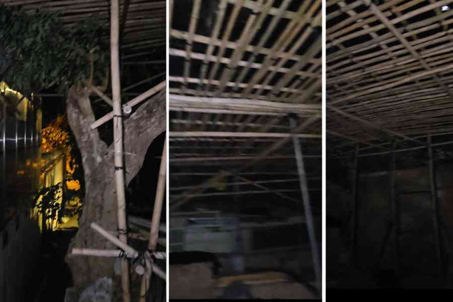 主教山被霸官地 地政：已飭令移除竹棚 神壇等因居民反對暫緩行動