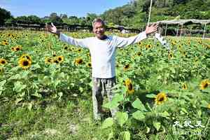 用正能量積極面對新挑戰 本地花農感恩各界 助其走出人生低谷