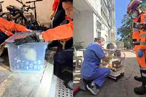 宏福苑5級火｜愛協：影響243隻動物 92隻已救出