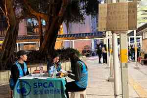 宏福苑5級火｜逾三百隻寵物受影響 愛協已處理逾136隻生還動物