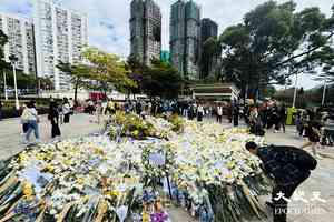 宏福苑5級火｜特首辦稱獨立委員會參考以往大型車禍運作模式