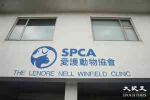 愛協:宏福苑209隻動物生還 提供寵物心理支援