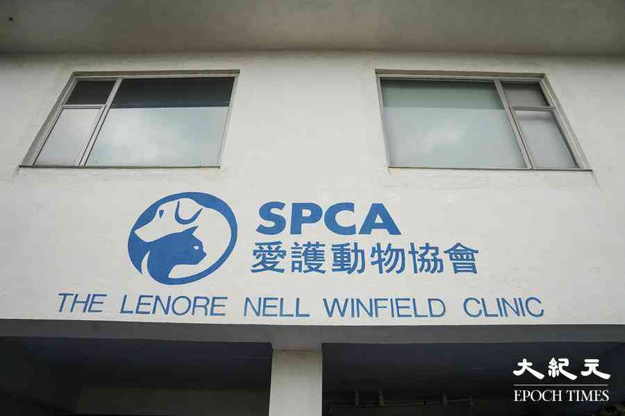 愛協：宏福苑209隻動物生還 提供寵物心理支援