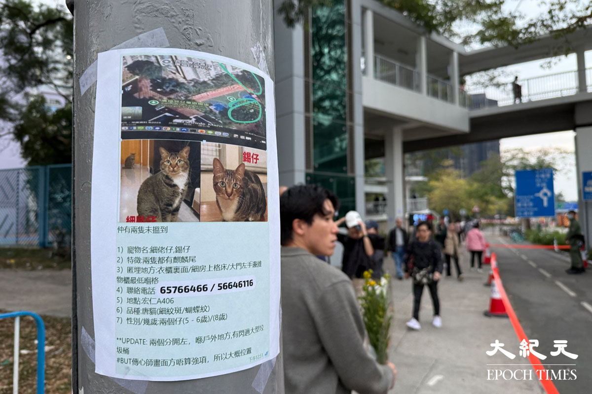 有居民在燈柱張貼告示尋找在火災失蹤的貓。（余鋼／大紀元）