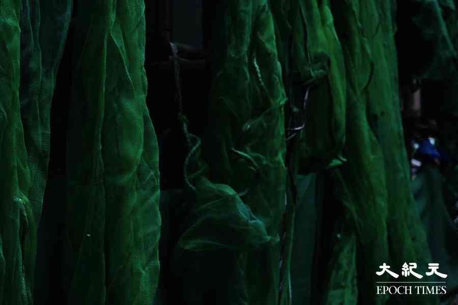 所有大維修樓宇須3天內下架棚網 保安局證峰華邨和富澤花園報告造假