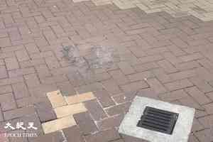 男子大埔街頭燒雜物 稱悼念死難者 涉縱火被捕