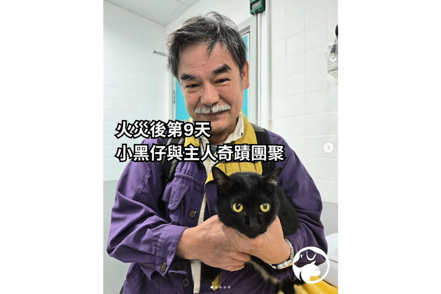 宏福苑5級火｜愛協指84隻動物仍下落不明