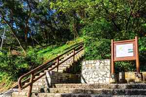 基孔肯雅熱|5本地個案曾到青衣自然徑 今晚起暫停開放