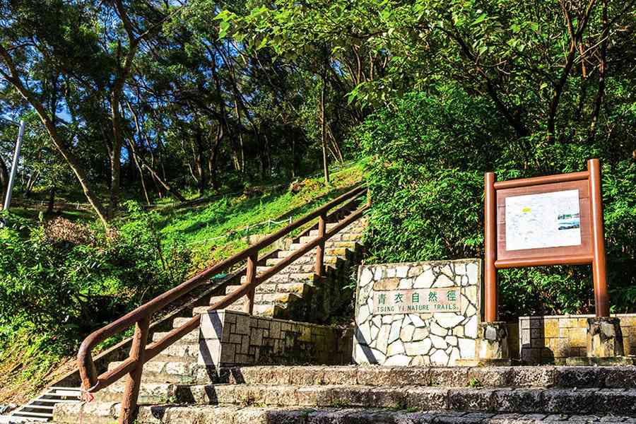 基孔肯雅熱｜5本地個案曾到青衣自然徑 今晚起暫停開放