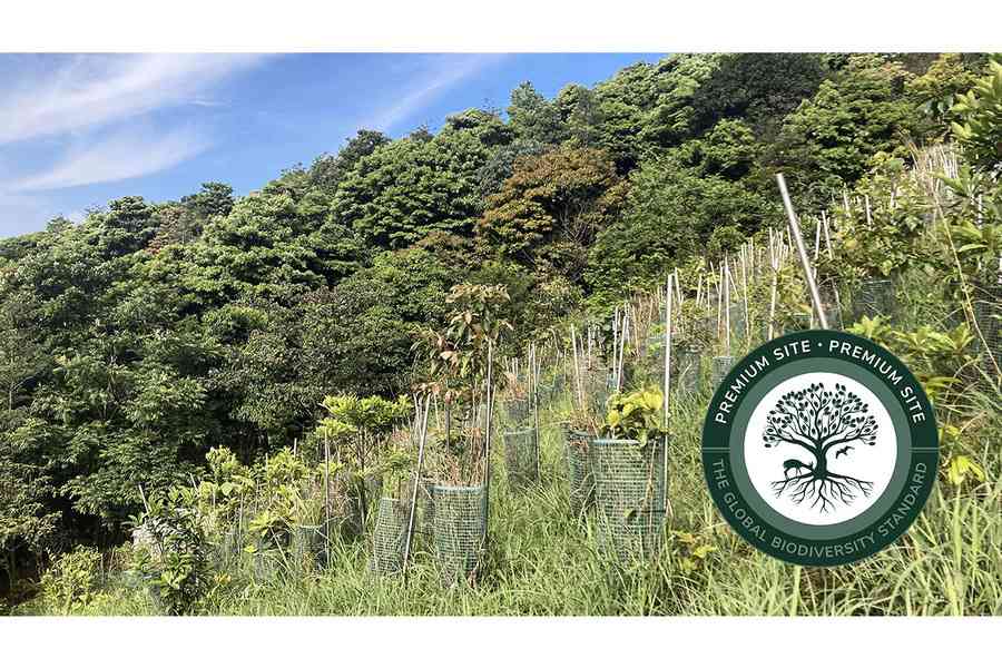 嘉道理農場暨植物園森林復育計畫獲全球首個頂級認證