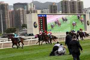 男子闖沙田馬場賽道舉標語 遭警拘保釋候查