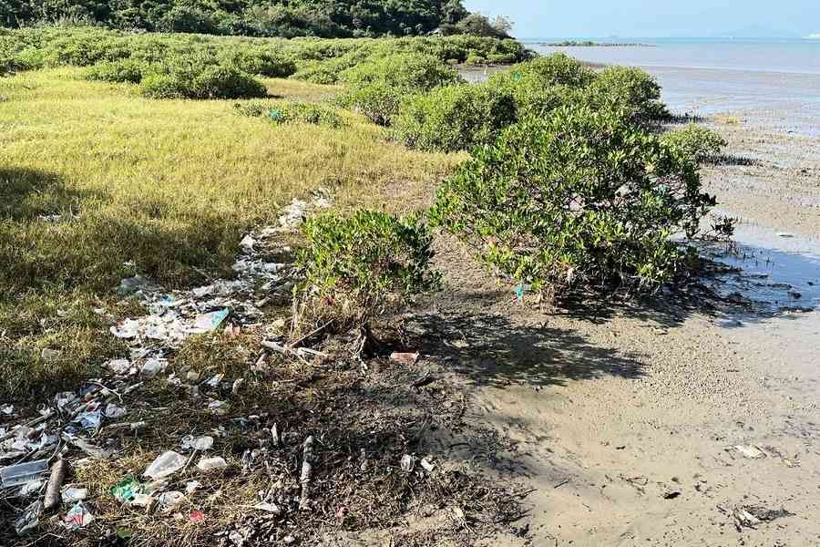 調查：市民平均每月郊遊3次 食物包裝、果皮及膠樽為最常見郊野垃圾