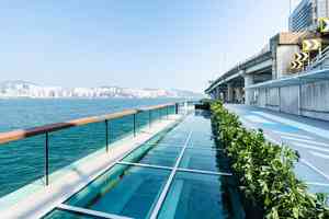 北角東岸板道東段周一開放 設玻璃觀景台及寵物友善區