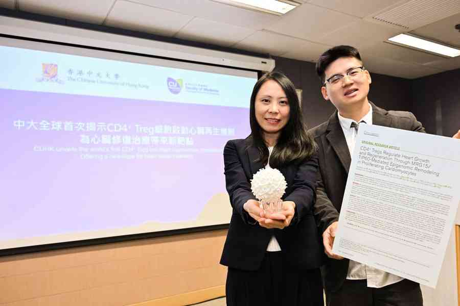 中大發現促心臟再生免疫系統細胞 冀治療心臟受損