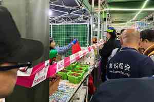 漁農美食嘉年華 8參展商疑售非本地產品遭圍封