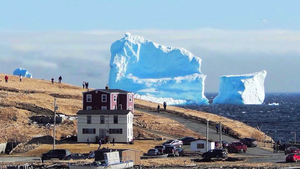 巨型冰山造訪加拿大小鎮 民眾爭相「看山」