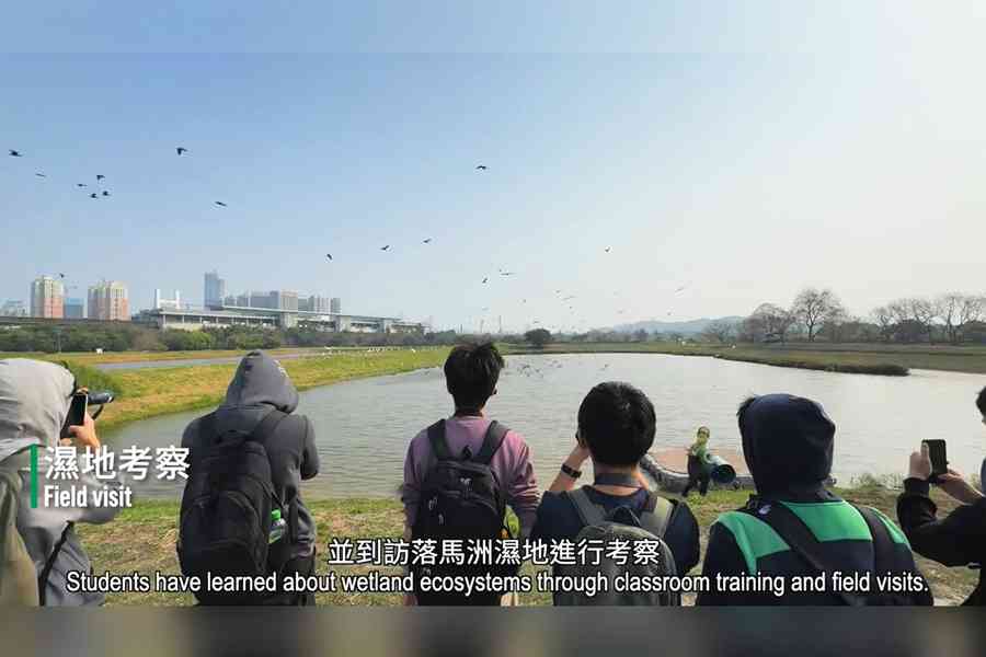 落馬洲濕地生態增25% 港鐵試驗魚菜共生 研有限度開放公眾參觀