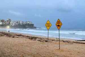 悉尼48小時內四宗鯊魚襲擊  專家警告勿落水：強雨提供了捕獵環境
