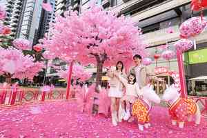 新年好去處｜北角海濱大型花海裝置 五大新年主題活動