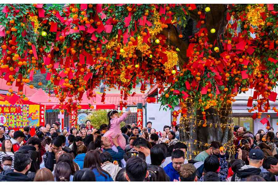 大埔林村新年許願節 首度「光明與希望」花車巡遊