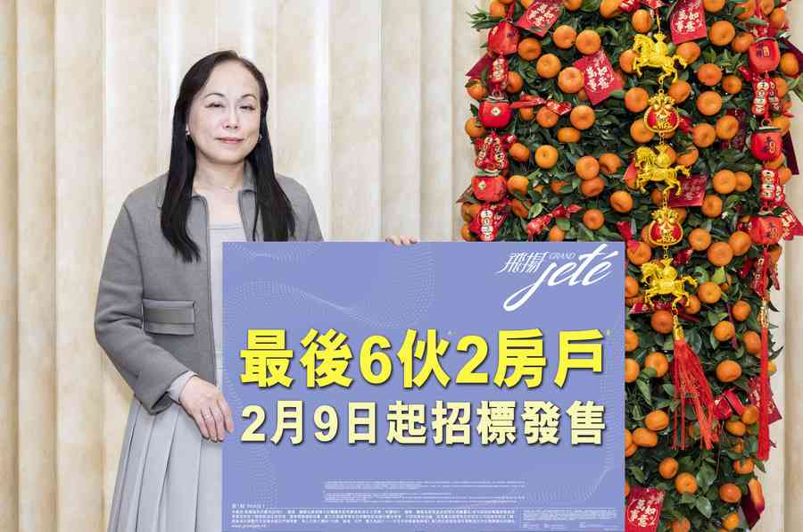 屯門飛揚加推最後6伙兩房 周一起招標發售