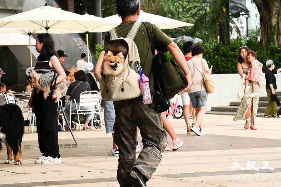 擬准狗入食肆 謝展寰：研限一人最多帶兩犬