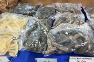 海味店遭爆竊損失約70萬 3男子被捕