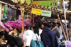 花墟售貨員嘆情人節「旺丁不旺財」 市民指預算減