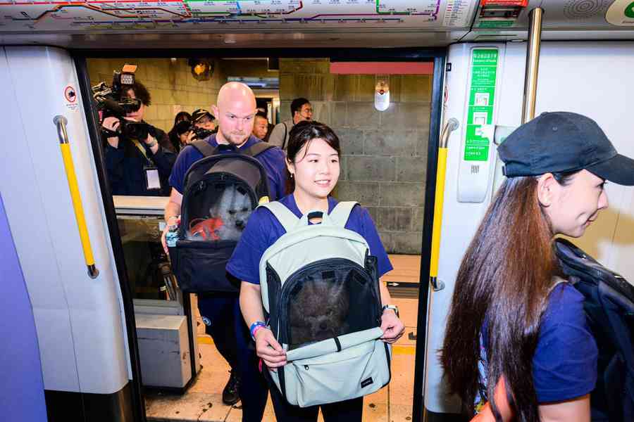 約1,000名狗主攜犬乘重鐵 港鐵稱運作大致暢順