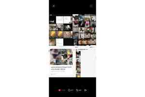 14歲中學生涉發布虐貓片被捕 獲准保釋候查