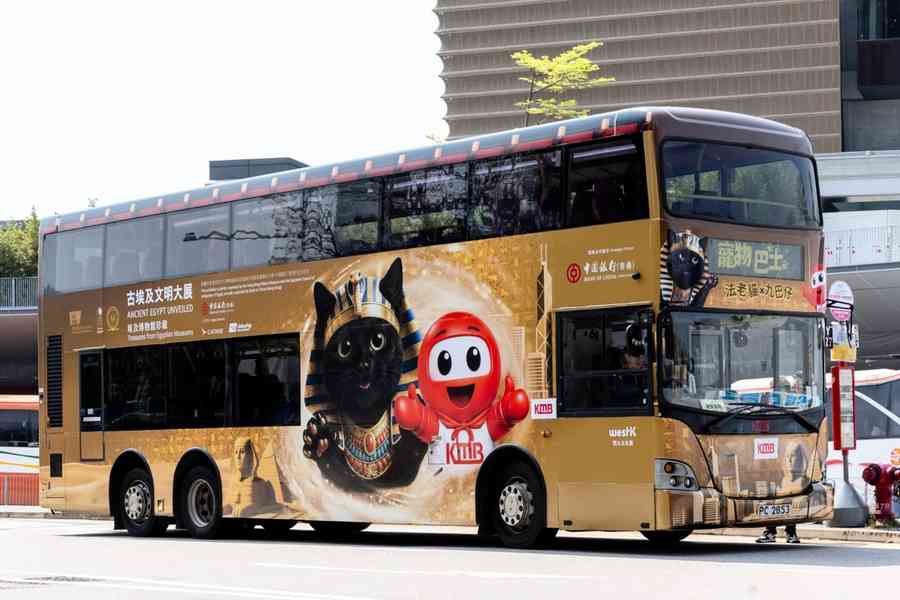 十架「法老貓」巴士今起行走4條線